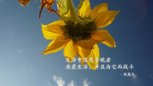 销售正能量语录集正能量句子