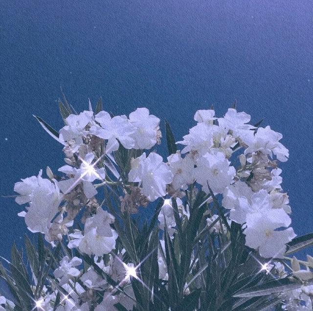 情感文案山(情感文案知乎)