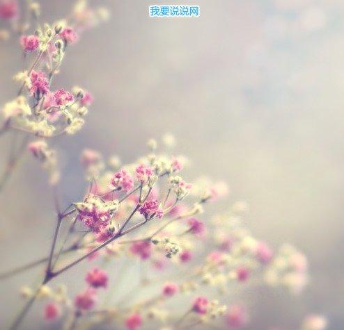 唯美的抖音名字女 简单大气抖音女生名字