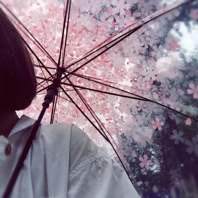 适合各种心情的句子简单短句