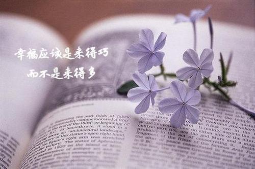 致自己的人生短句