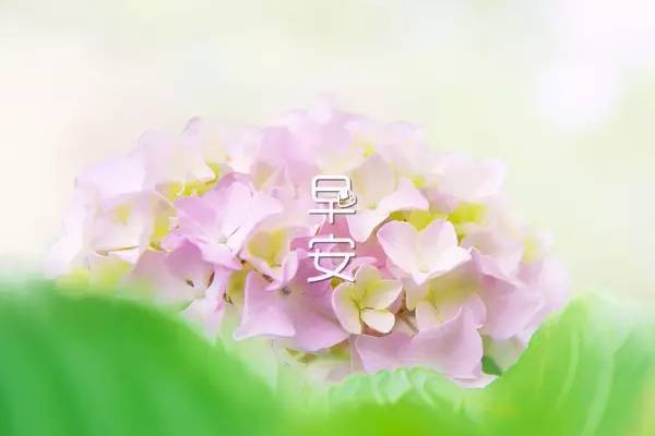 早安2021正能量简单一句话