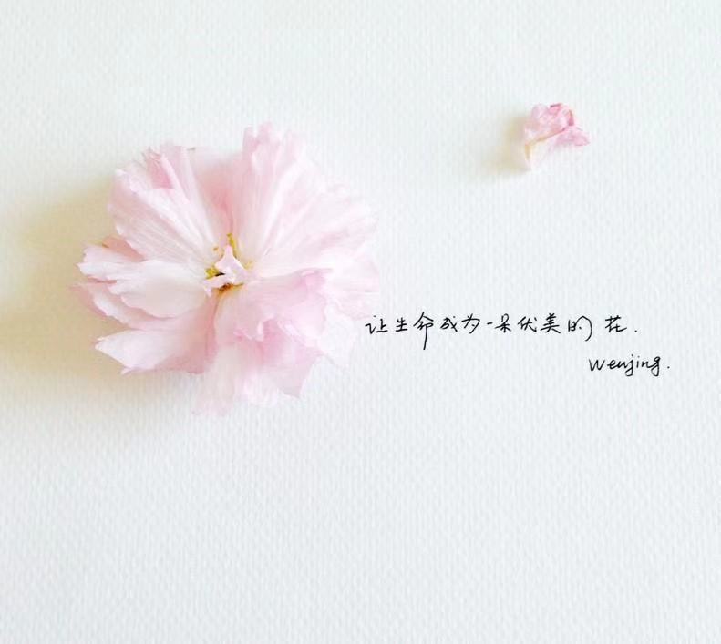 随心随意去生活的说说