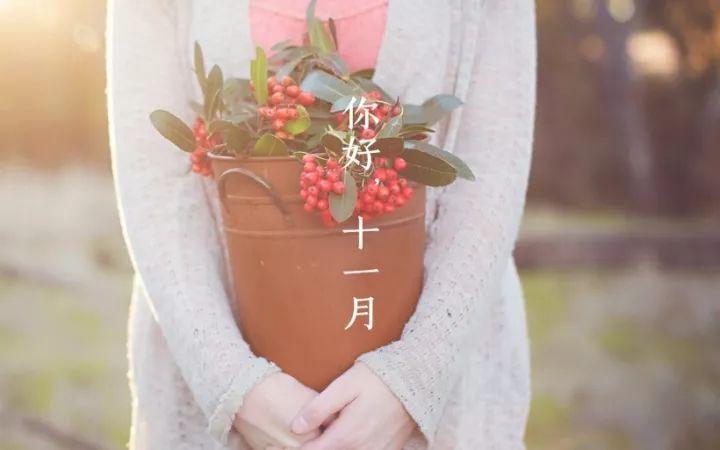 十一月份的说说致自己