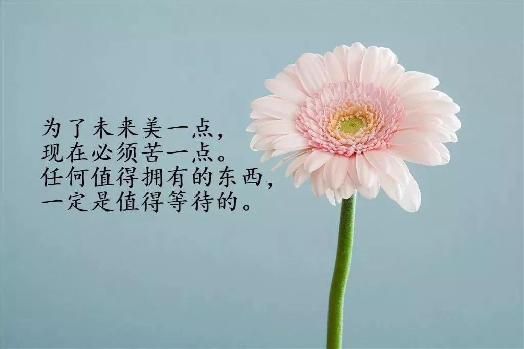 一日一句心情语录名著