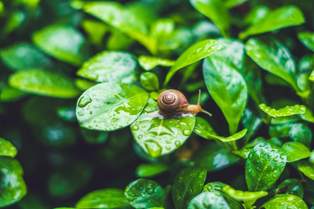 分享朋友圈下雨天心情