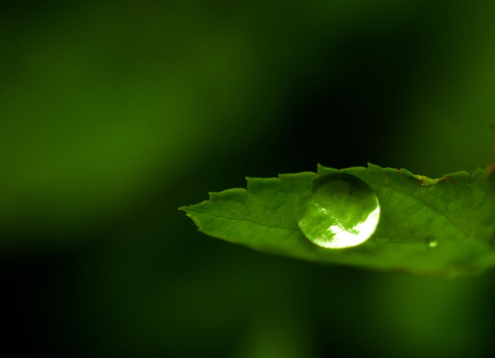 分享朋友圈下雨天心情