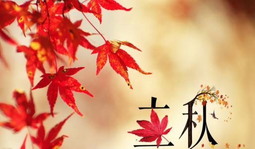 一个人释放心情的美句