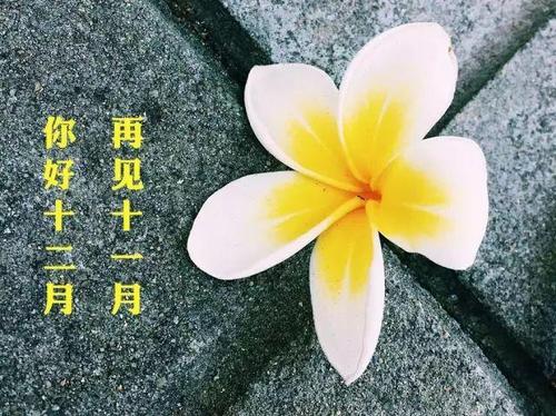 十一月朋友圈说说心情