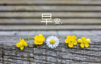 唯美的句子说说心情