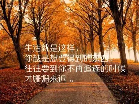 回家的心情幽默句子