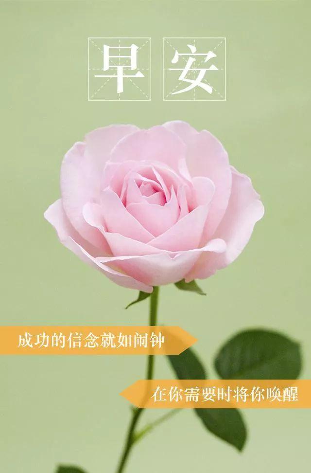 充满阳光的句子早安最新