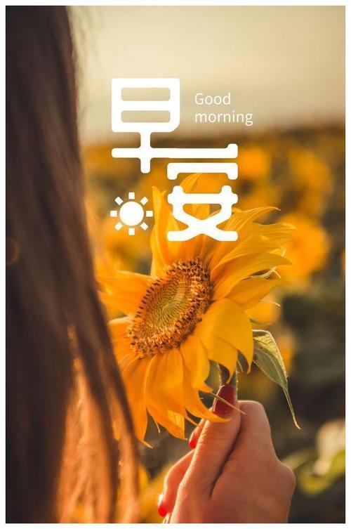 充满阳光的句子正能量早安的句子