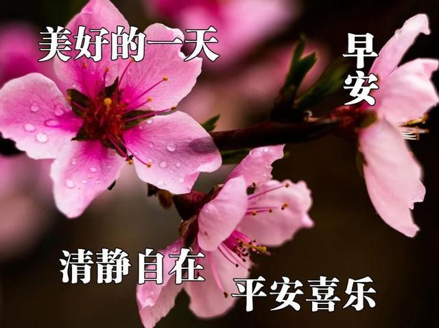发朋友圈正能量早安句