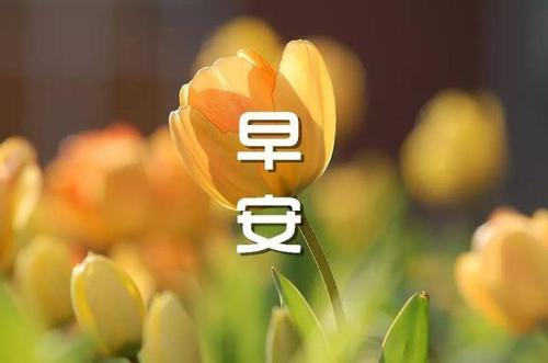 温馨正能早安心语