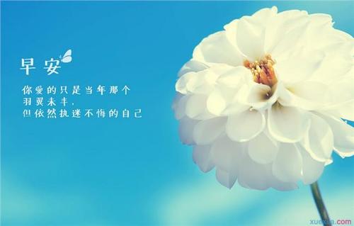 温馨正能早安心语