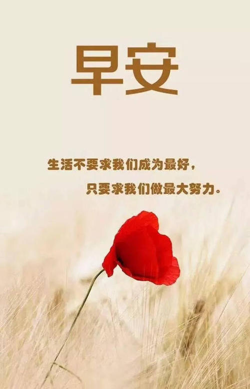 正能量早安问候语大全