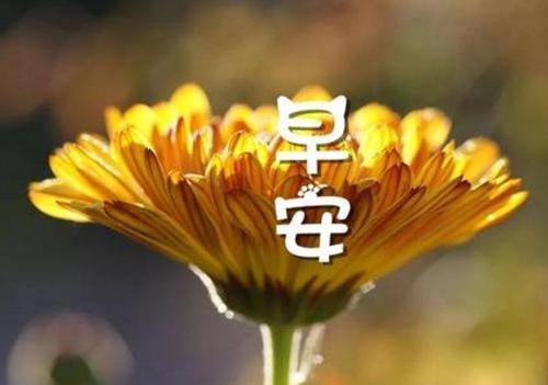 最美早安短句微信