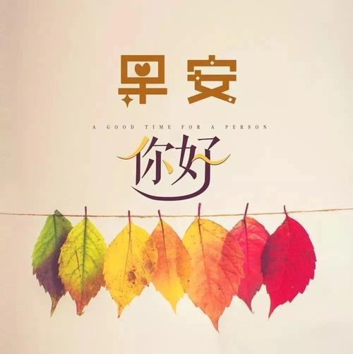 最美早安短句微信