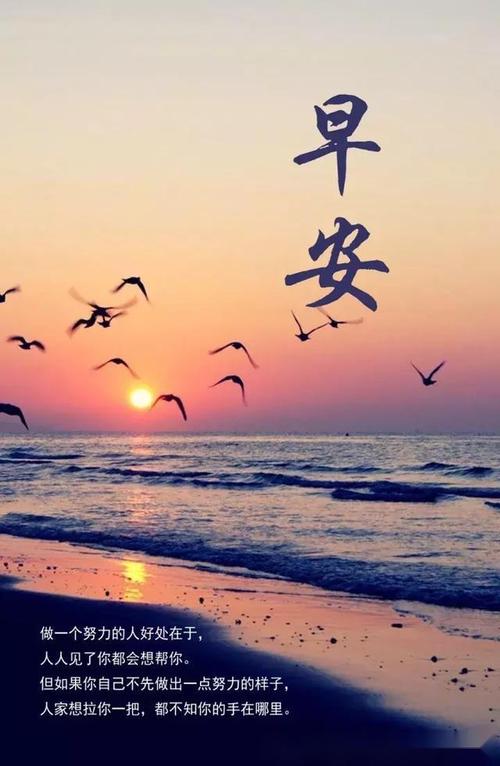 充满阳光的句子早安说说