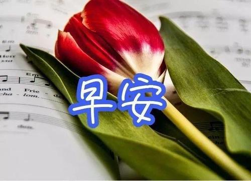 2021年早安暖心话