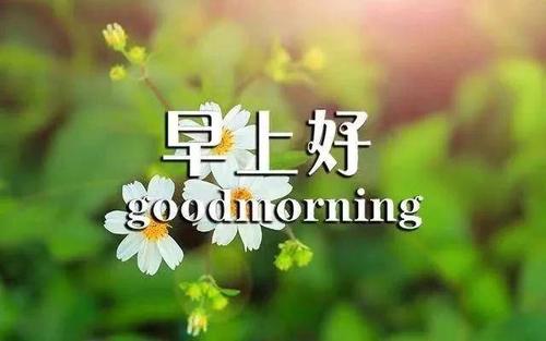 2021全新的早安句子9月