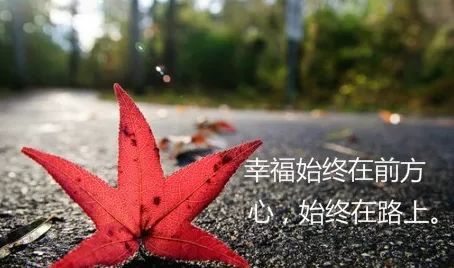 适合自己的心情图片