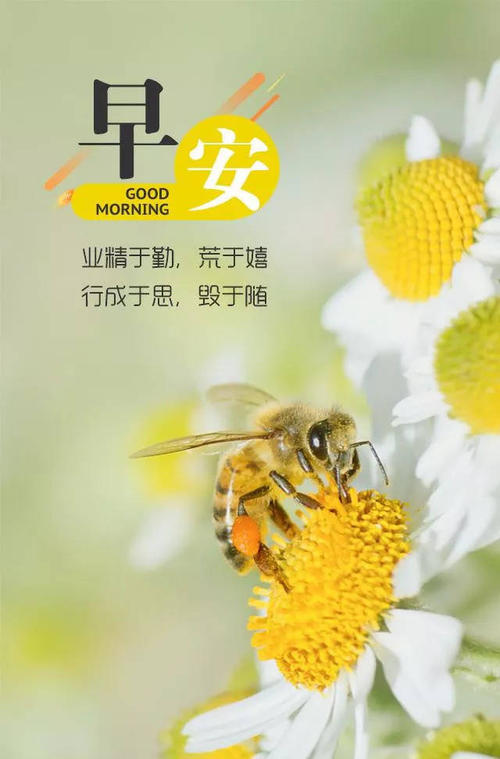 朋友圈早安奋斗激励语