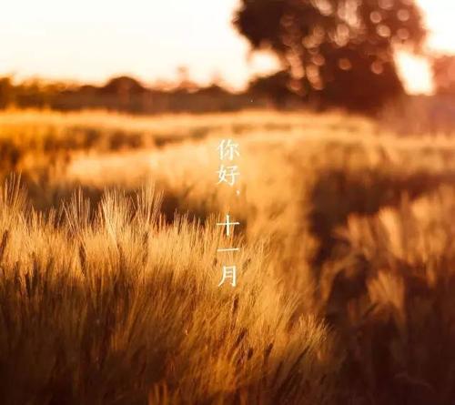 十一月致自己的说说
