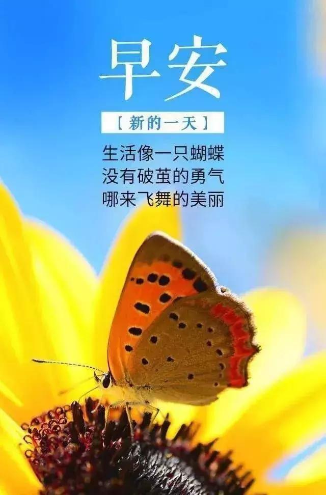 2021全新的早安句子励志