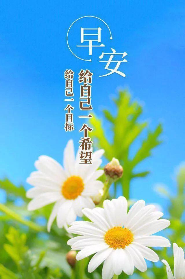 2021全新的早安句子励志