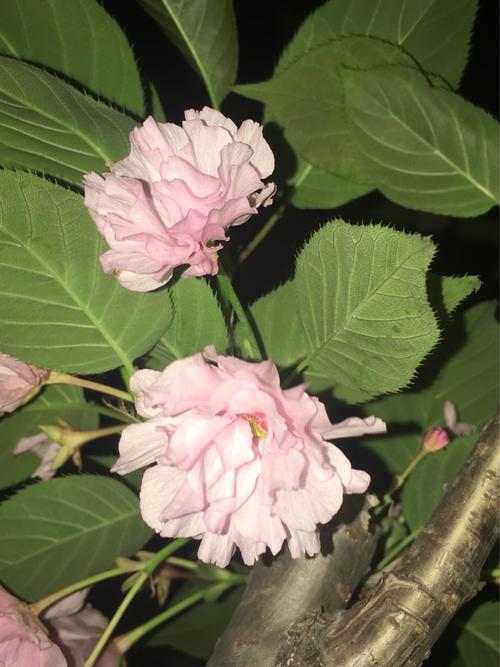 一日一句心情语录短