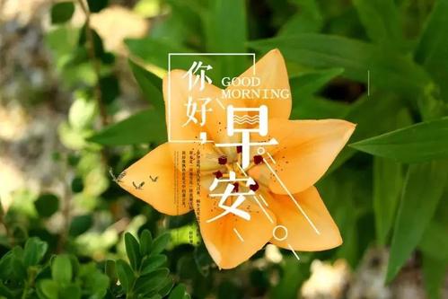 十字最美早安短句2021