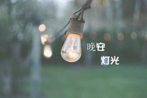 不一样的说晚安方式
