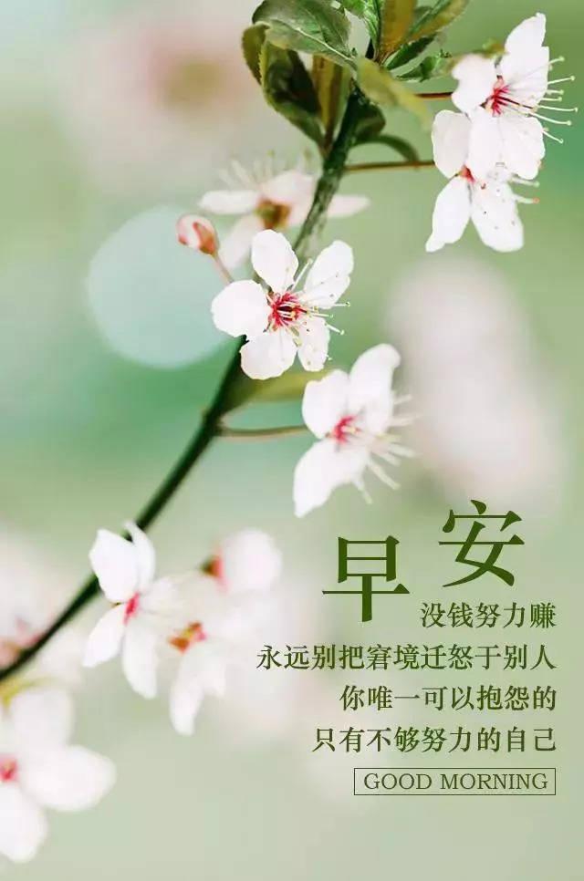 十字最美早安短句生活