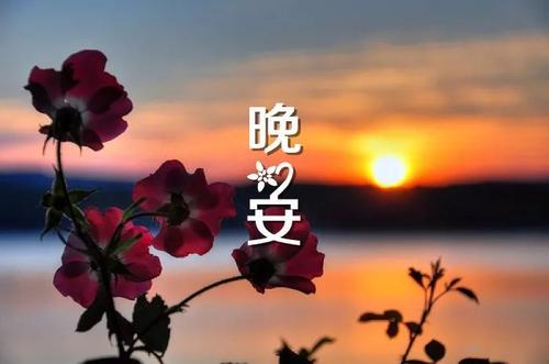 晚安女朋友暖心话短句