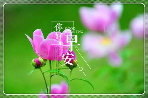 2021全新的早安句子简短