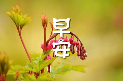 2021全新的早安句子简短
