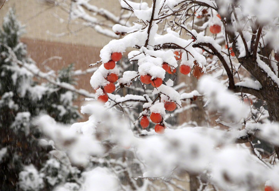 发朋友圈下雪高端句子