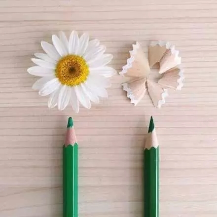 小孩成长励志经典语录