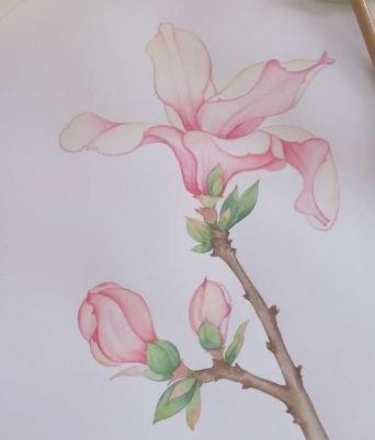 端午节名人名言名诗