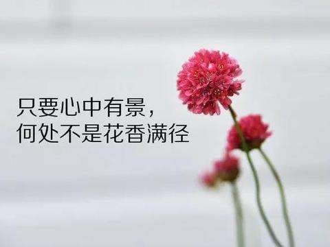 一句简单快乐的说说