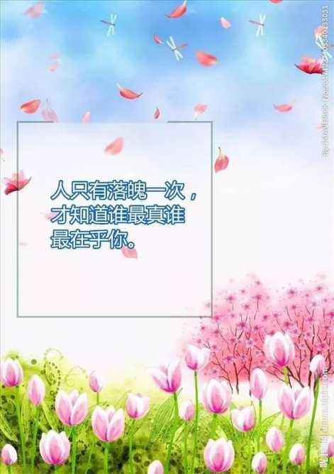 人生最经典说说句子