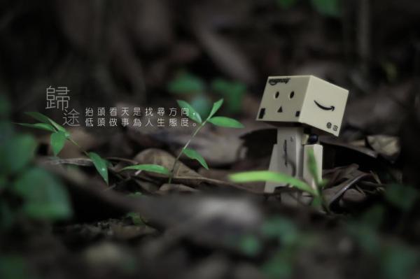 那些年最凄凉最悲伤的句子 一旦分开,便会渐行渐远