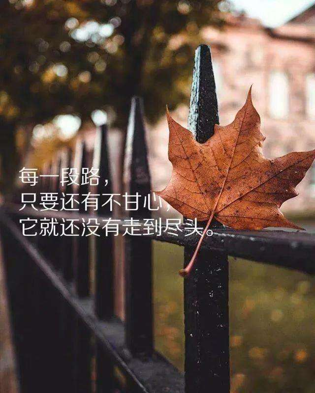 一句心情说说朋友圈