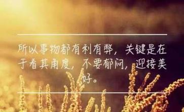每天保持好心情的句子