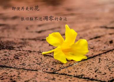 简短开心的朋友圈说说