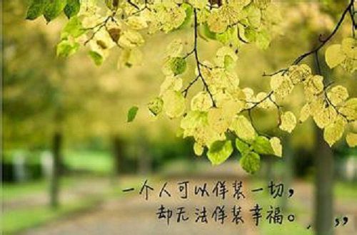 谁为谁守候，谁为谁孤独？