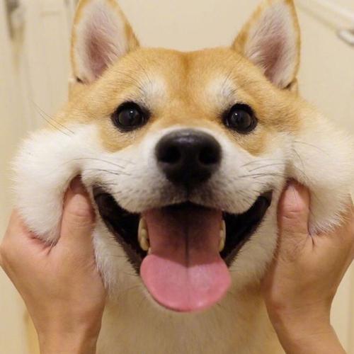 发一句心情朋友圈