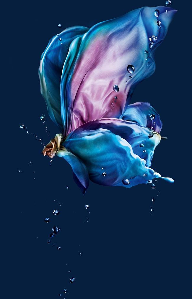 海边说说短句 随心